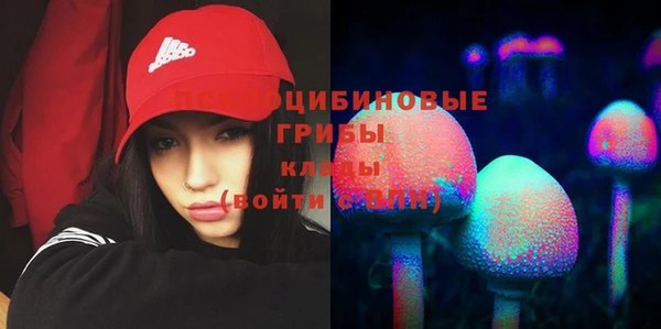 дурь Верея