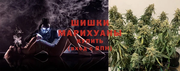 ГАЛЛЮЦИНОГЕННЫЕ ГРИБЫ Бородино