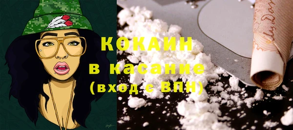 ГАЛЛЮЦИНОГЕННЫЕ ГРИБЫ Бородино